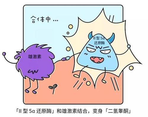 涨知识:单身男性更容易脱发
