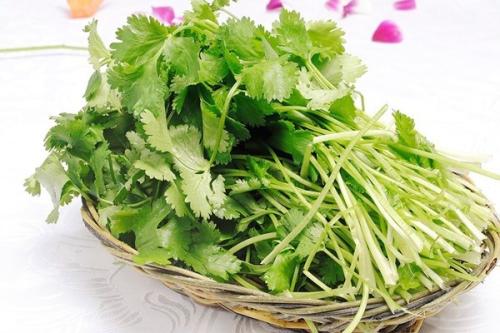 男性脱发该吃的食物——你不能错过!