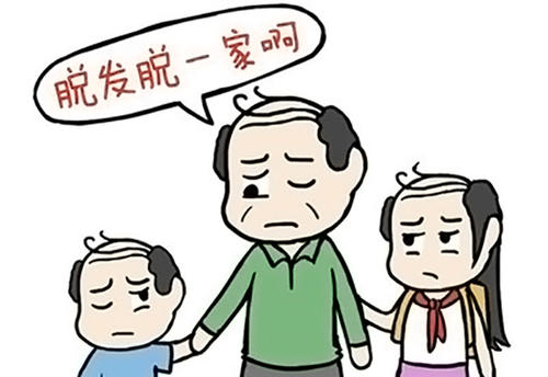  生姜对于遗传性脱发管用吗