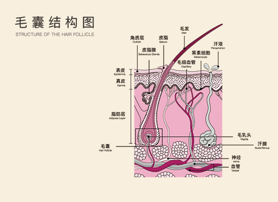 3_副本.jpg 3_副本.jpg